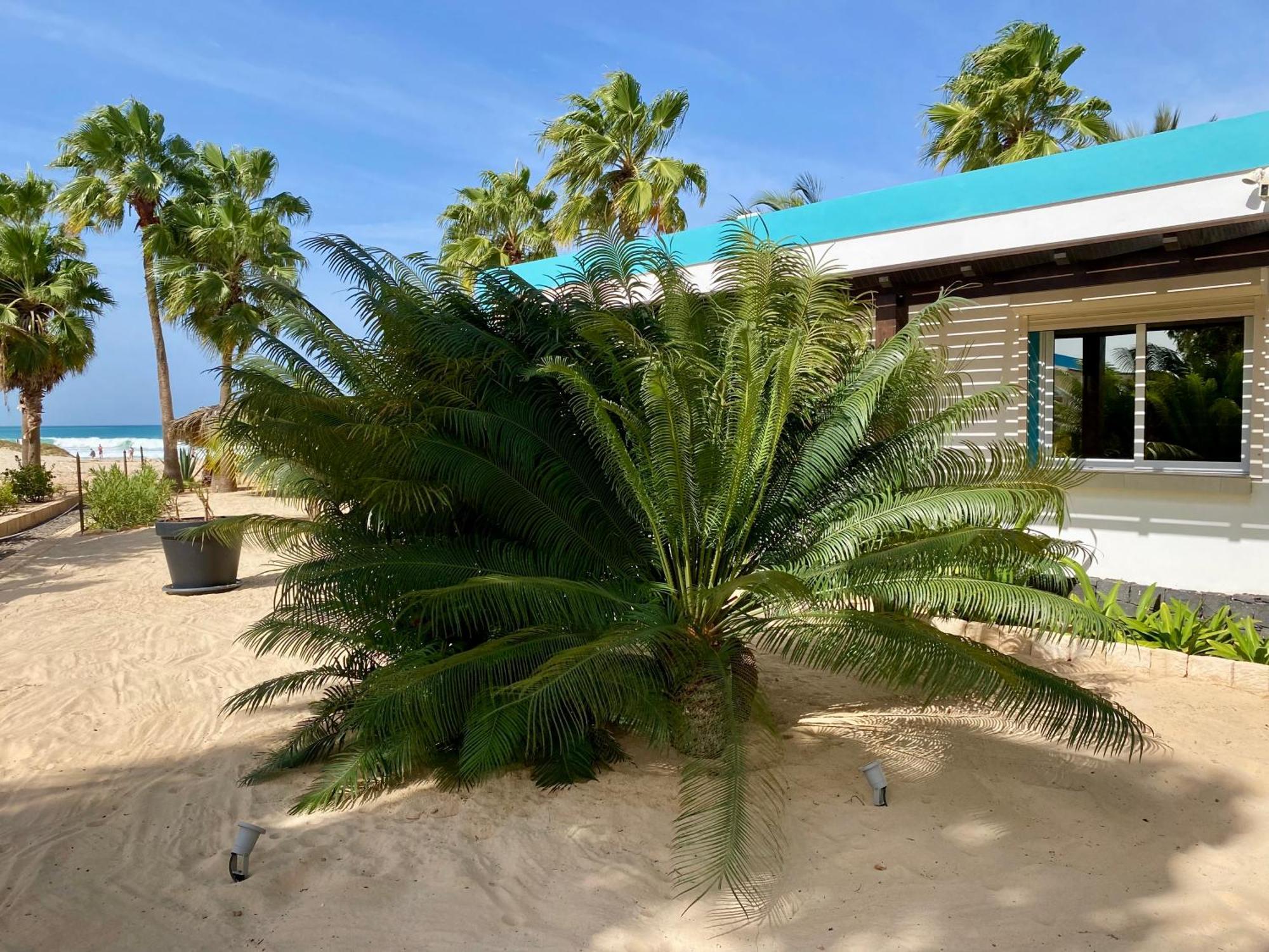Vila Mare - Praia De Chaves Frontline Rabil Екстер'єр фото